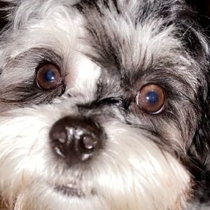 Meet your Posher, Gianna